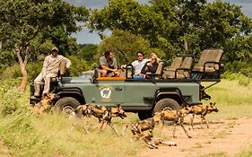 Kambaku Safari Lodge